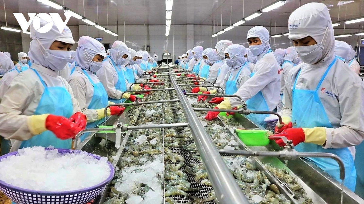 Vietnam represents third largest seafood exporter globally